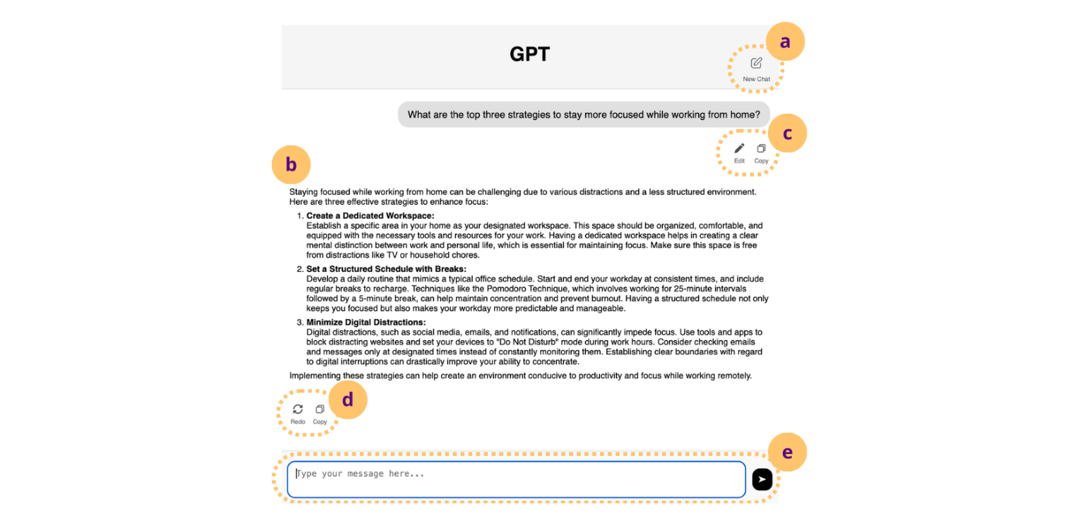 Figure 3: Front-end chat interface with key features highlighted: (a) start or refresh a new chat, (b) chat view with streamed
responses, (c) edit or copy messages previously input by the user, (d) regenerate or copy responses generated by the model, and
(e) input field to submit new prompts.